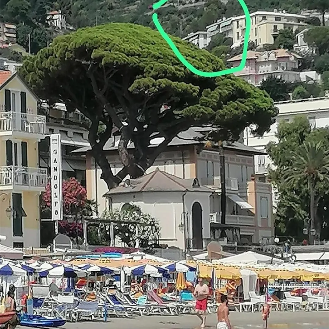 Alassio Riviera Searooms Con Cucina